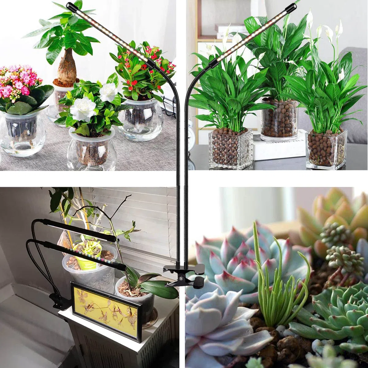 FRGROW Lampada da Coltivazione Piante da Interno, Indoor, grow light full spectrum, Luce di Coltivazione A Spettro Completo 3000K/5000K/660nm, 3 Modalità 10 Luminosità Con Timer