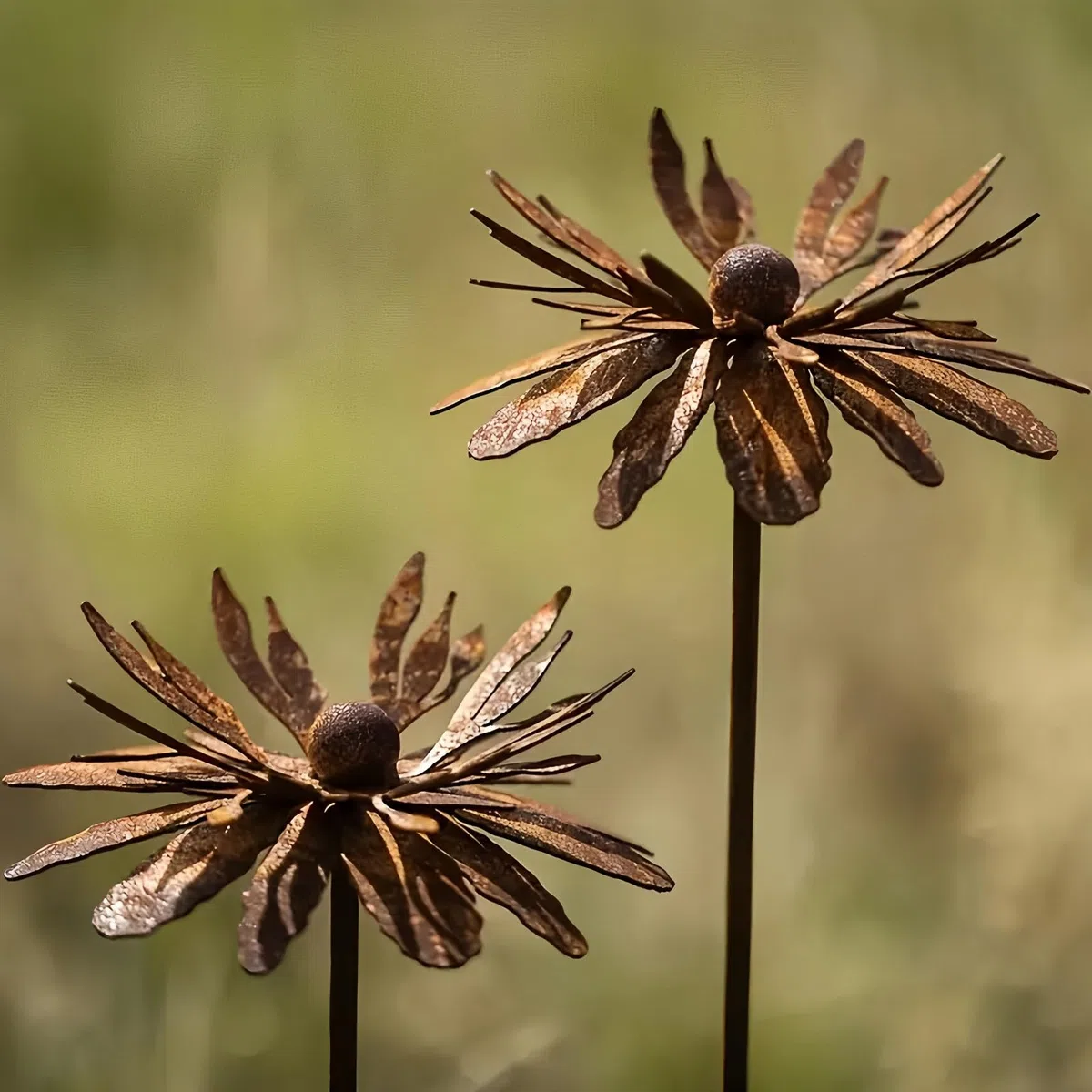 Set da 2 Decorazioni da Giardino in Stile Rustico, Decorazioni per Giardino in Corten, Pianta di Papavero, Decorazione da Giardino in Metallo, Decorazione da Giardino in Stile Rustico (A)
