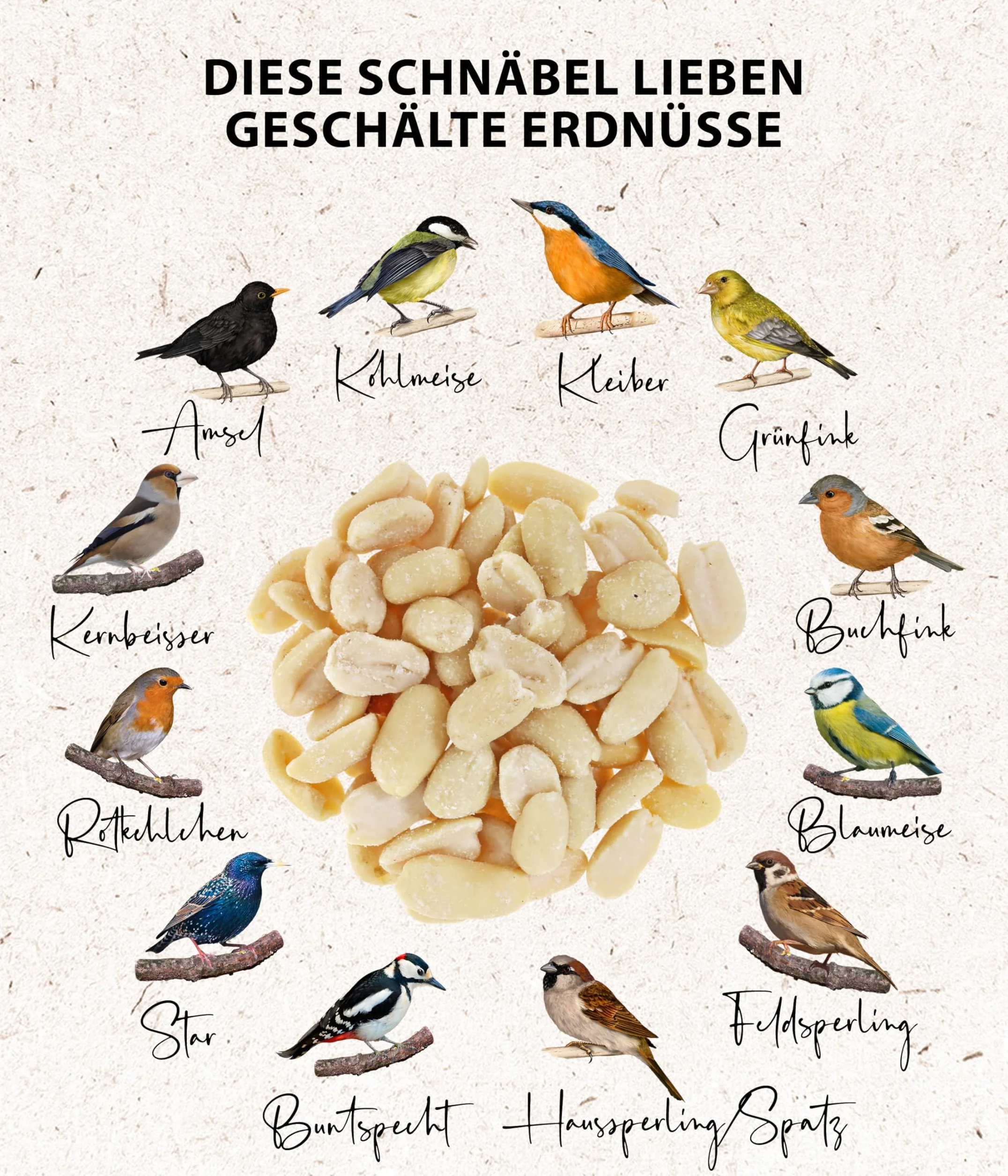 Dehner Natura Premium mangime per Uccelli Selvatici, Arachidi per metà o Intere, 5 kg