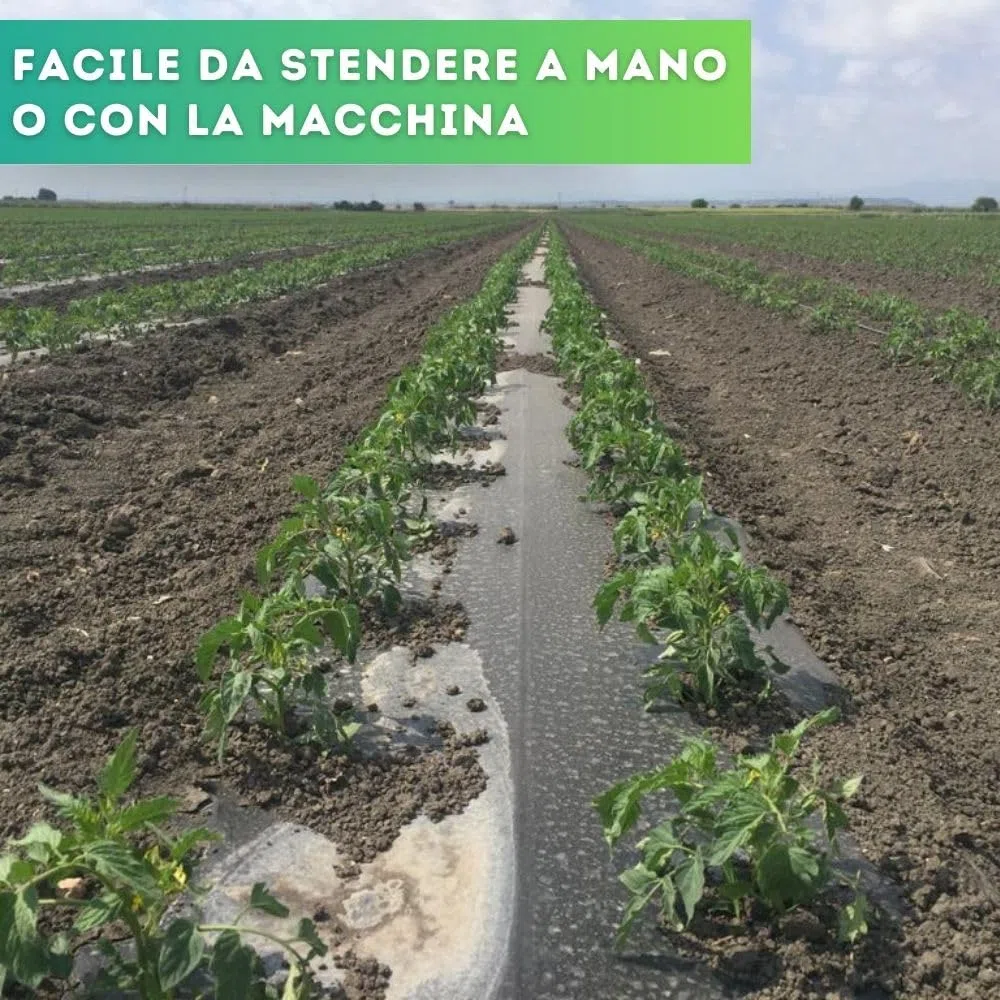 DI GIULIO SRL Telo Nero Pacciamatura Larg. 120 cm x Varie Misure Senza Fori Copertura Terreno Antierbacce Contro Le Infestanti | Bio Orto (100 Metri)