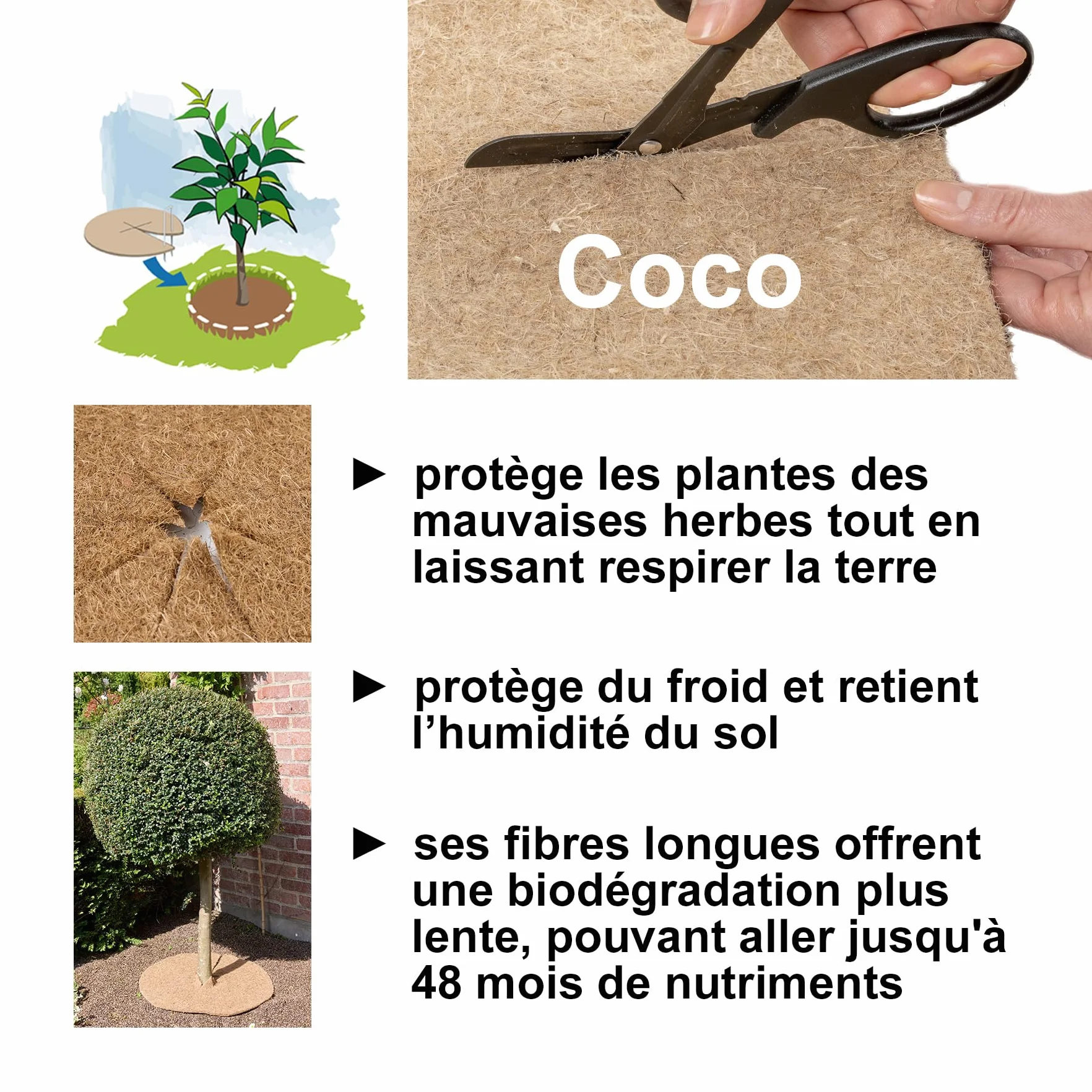 La cordeline 10 Dischi di pacciamatura in Fibra di Cocco Naturale, Ø 30 cm, 900 g/m², Tappetino di Protezione Contro Le Erbacce, Isolamento Termico e Protezione Naturale delle Piante