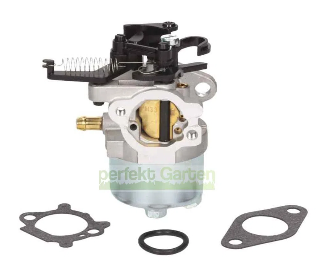 Carburatore compatibile B&S Serie 700 750 DOV 591852 793463 793493 595509