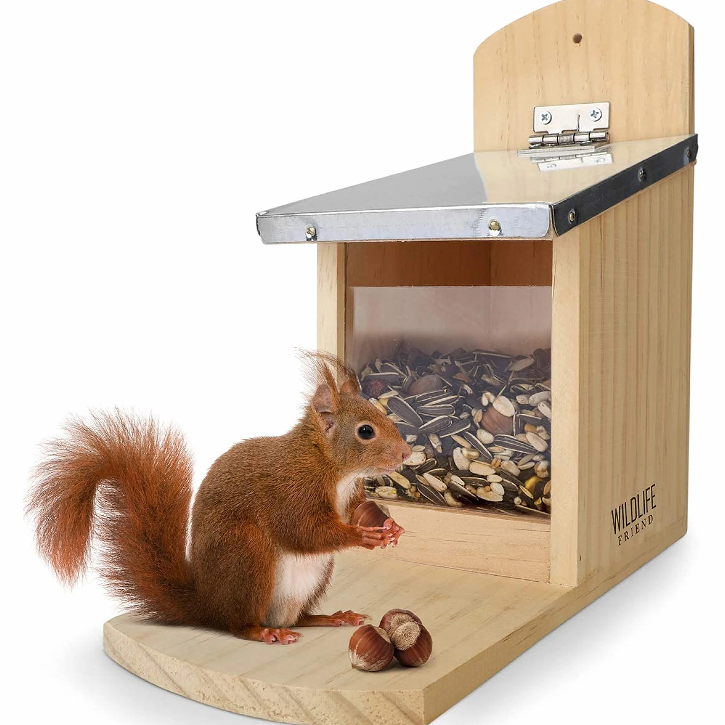 WILDLIFE FRIEND | Mangiatoia Scoiattoli- Casetta ecologica per scoiattoli, Mangiatoia Scoiattoli da esterno con Finestra in Plexiglass, Resistente alle Intemperie - in Legno di Pino e Tetto in Zinco