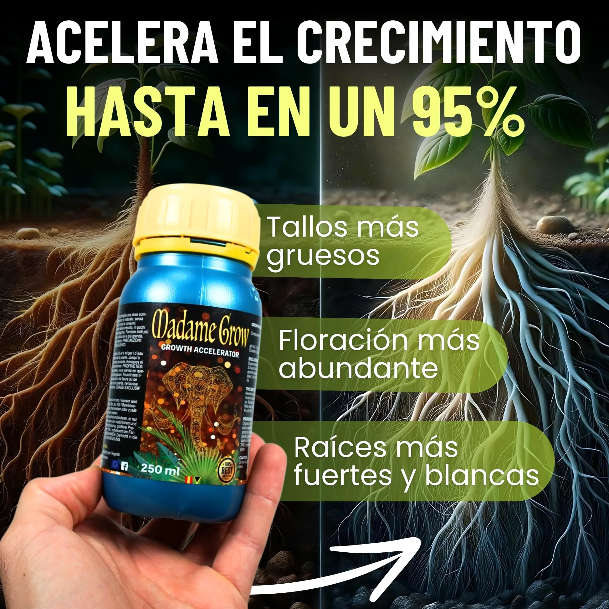 Concime - Radici bianche, lunghe e forti - Crescita perfetta - Formato USA (250 ml)