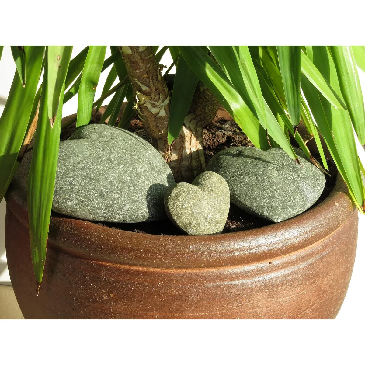 STONE art & more Esclusiva pietra naturale a forma di cuore, Ø 15 cm, decorazione da giardino, lavorazione in pietra, pezzo unico resistente al gelo