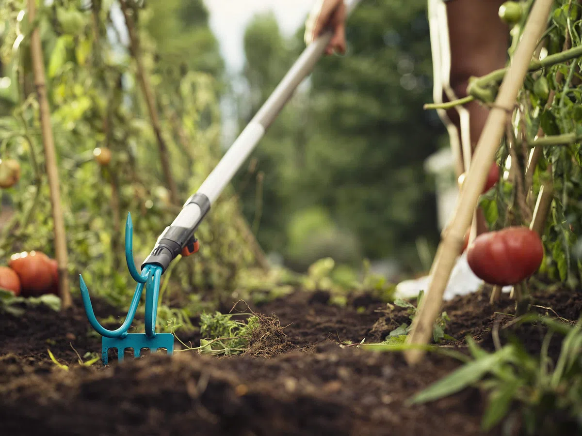 GARDENA Sarchiatore-Rastrello combisystem: pratico attrezzo da giardino 2 in 1, nero turchese, One Size, materiali di alta qualità (03165-20)