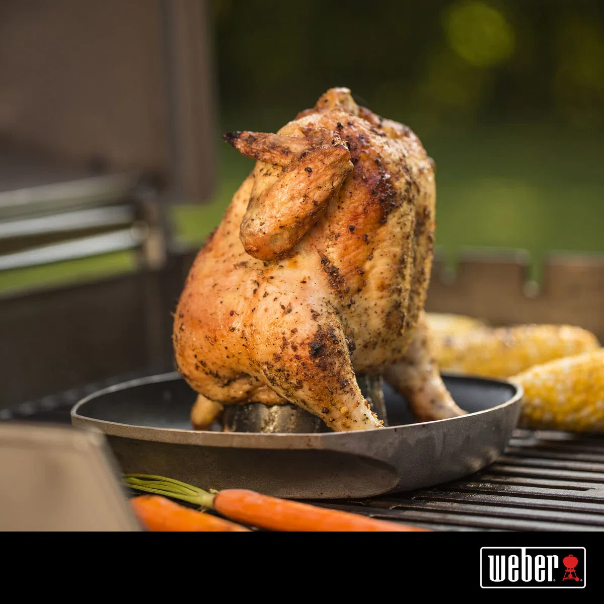 WEBER Soporte para Pollos Style