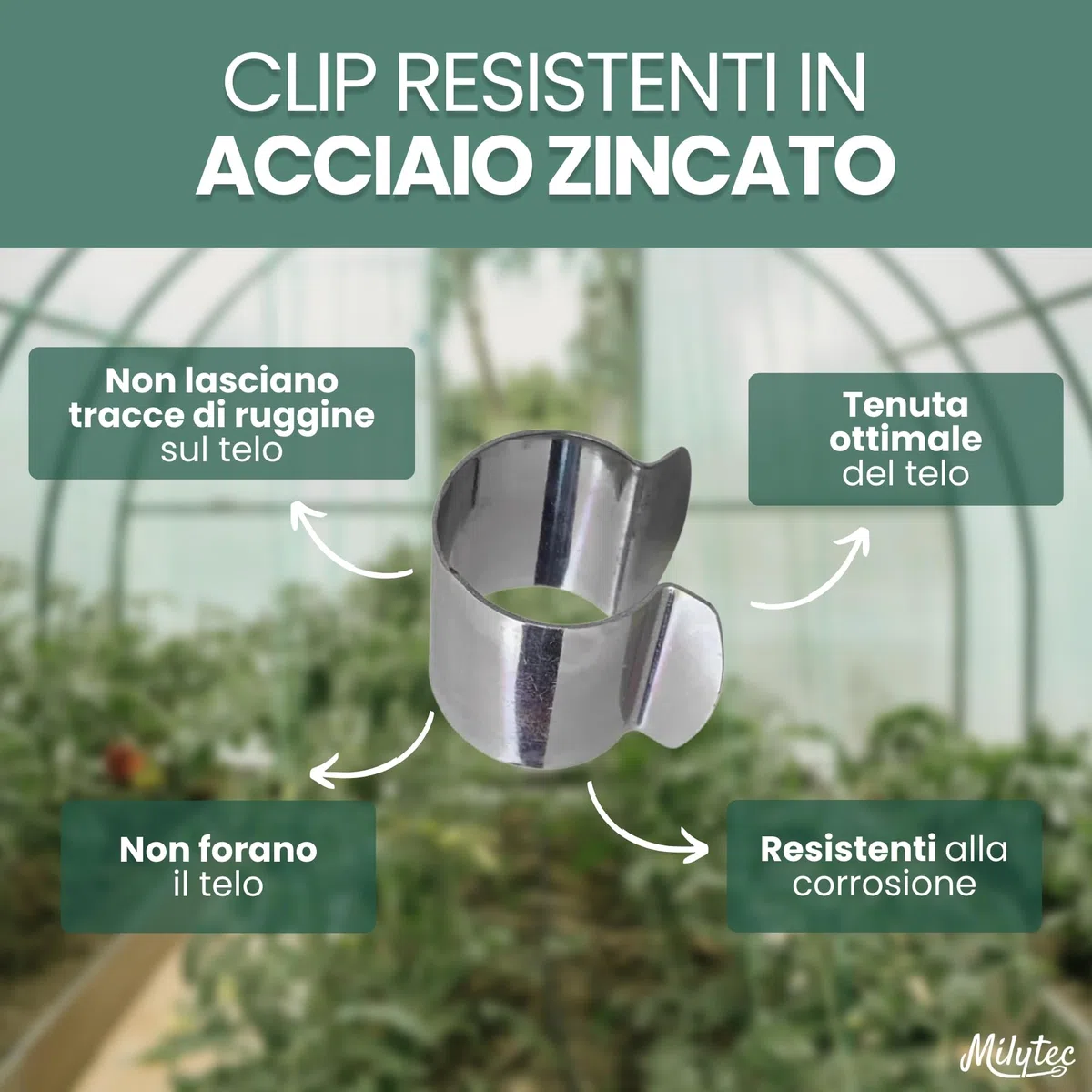 25 clip per serra diametro 32 mm in acciaio zincato, clip di fissaggio in metallo per telone da serra tunnel per giardino, protezione piantine e piantagioni, resistenza al vento e tempeste