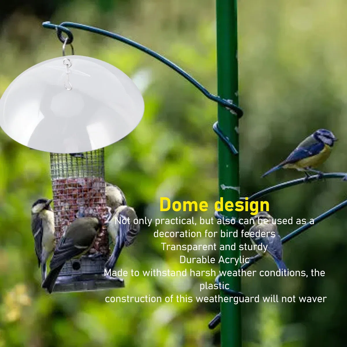 Dome protezione da scoiattolo a cupola protettiva per mangiatoie per uccelli selvatici copri a cupola chiara per gli accessori per alimentari da colibrì appesi all'aperto accessori