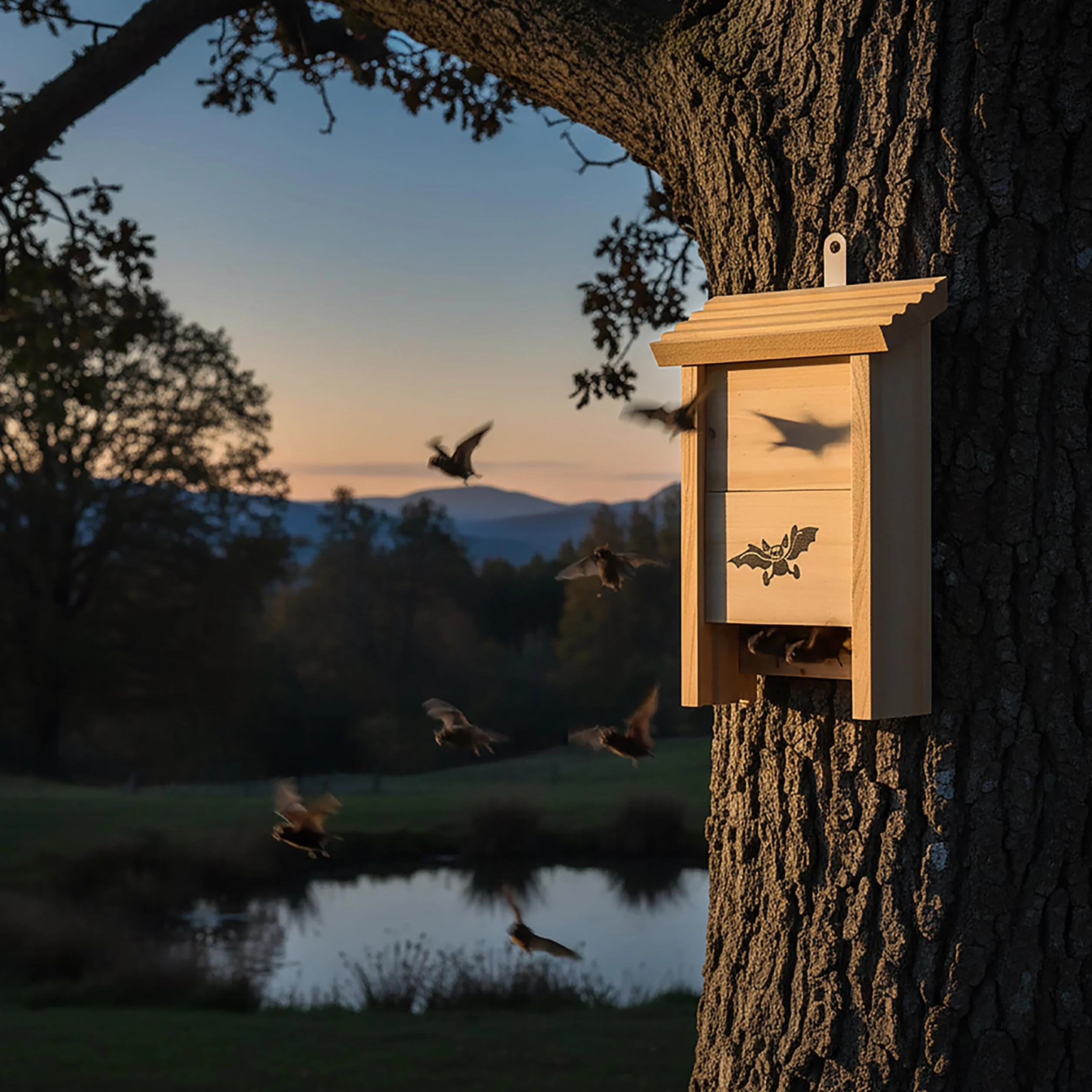 Relaxdays Casette per Pipistrelli, Set da 2, in Legno Naturale, Misure 25x18x6 cm