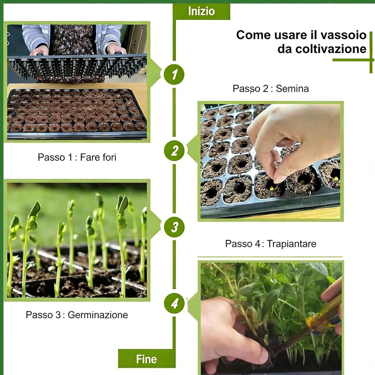 Baoblaze 12 Vassoi per Piantine da con Griglia e Foro di Drenaggio, Vassoio germinazione per Coltivazione Indoor, Vasetti per Semina per la Coltivazione di Broccoli, 72 Celle