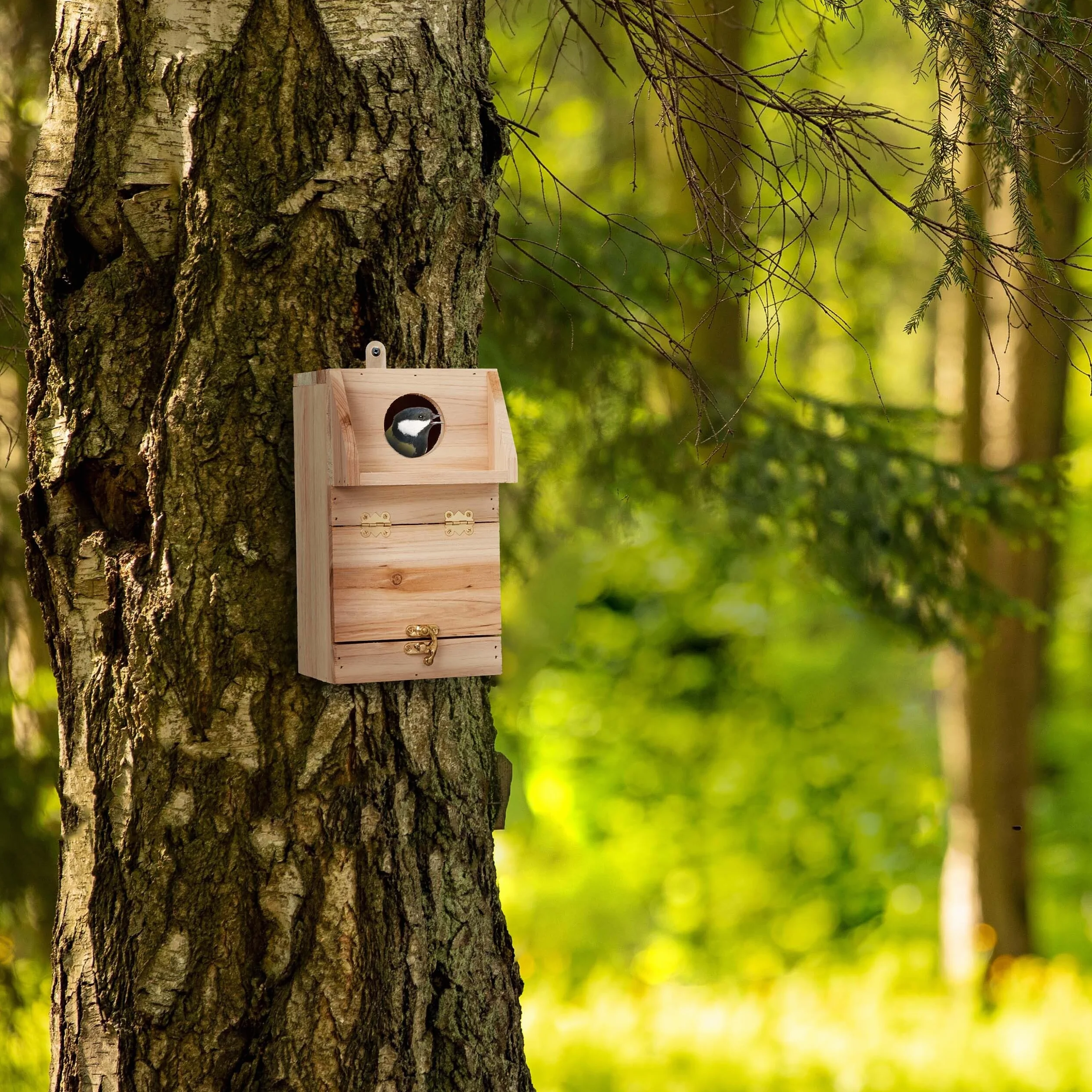 Relaxdays Casetta per Cinciallegre e Codirosso, Nido in Legno con Sportello Apribile per Pulizia, da Appendere, Naturale