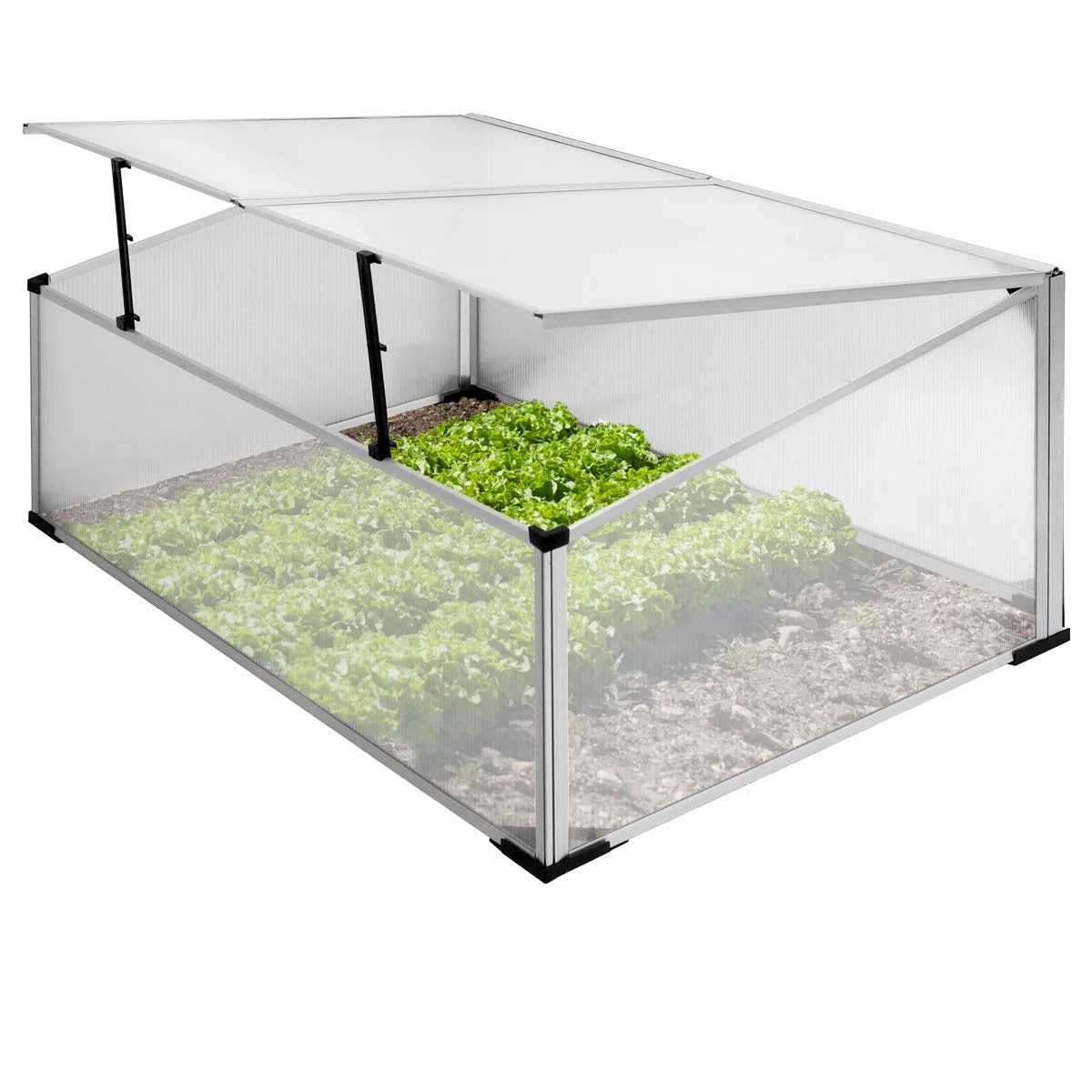 ECD Germany Serra Giardino Orto Mini Serra 100 x 60 x 40 cm per Terrazzo Serra in Telaio di Alluminio e Policarbonato Rezistente ai Raggi UV e alle Intemperie con Tetto Regolabile per Fiori e Piante