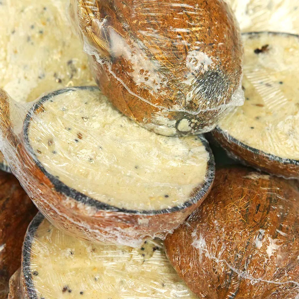 GardenersDream Mezze Noce di Cocco Ripiene di Suet - Cibo per Uccelli Selvatici a Base di Grassi per Giardino (15 metà)