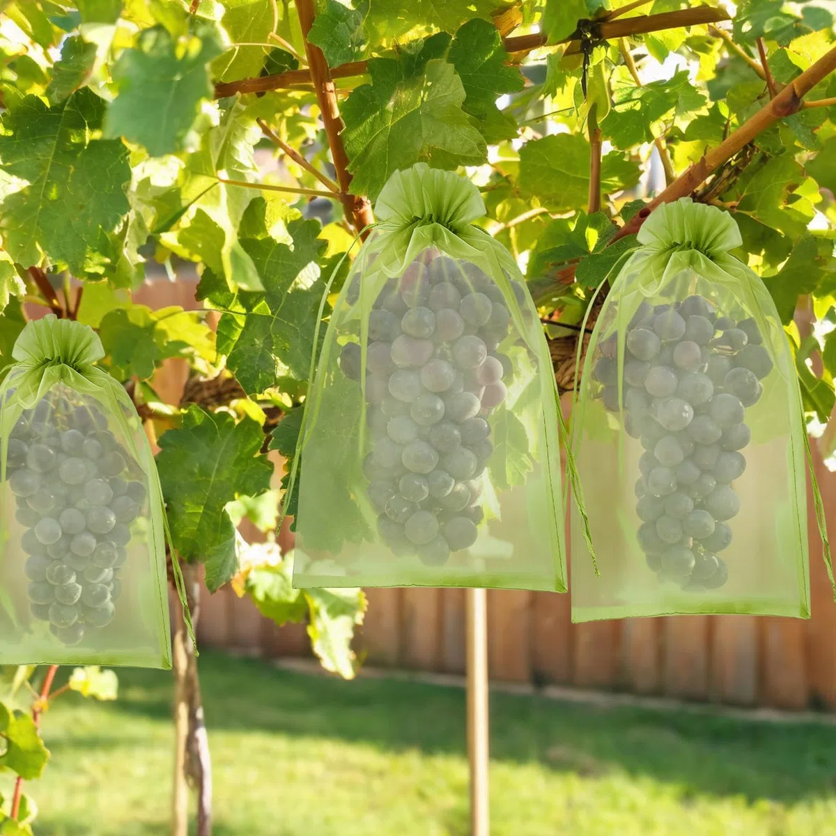 KATELUO Sacchetti di Protezione per Uva 20 x 30 cm, 100 Pezzi Sacchetto di Protezione Della Frutta, Sacchetti Organza con Coulisse per Frutta da Giardino Tengono Lontani Moscerini Vespe e Uccelli