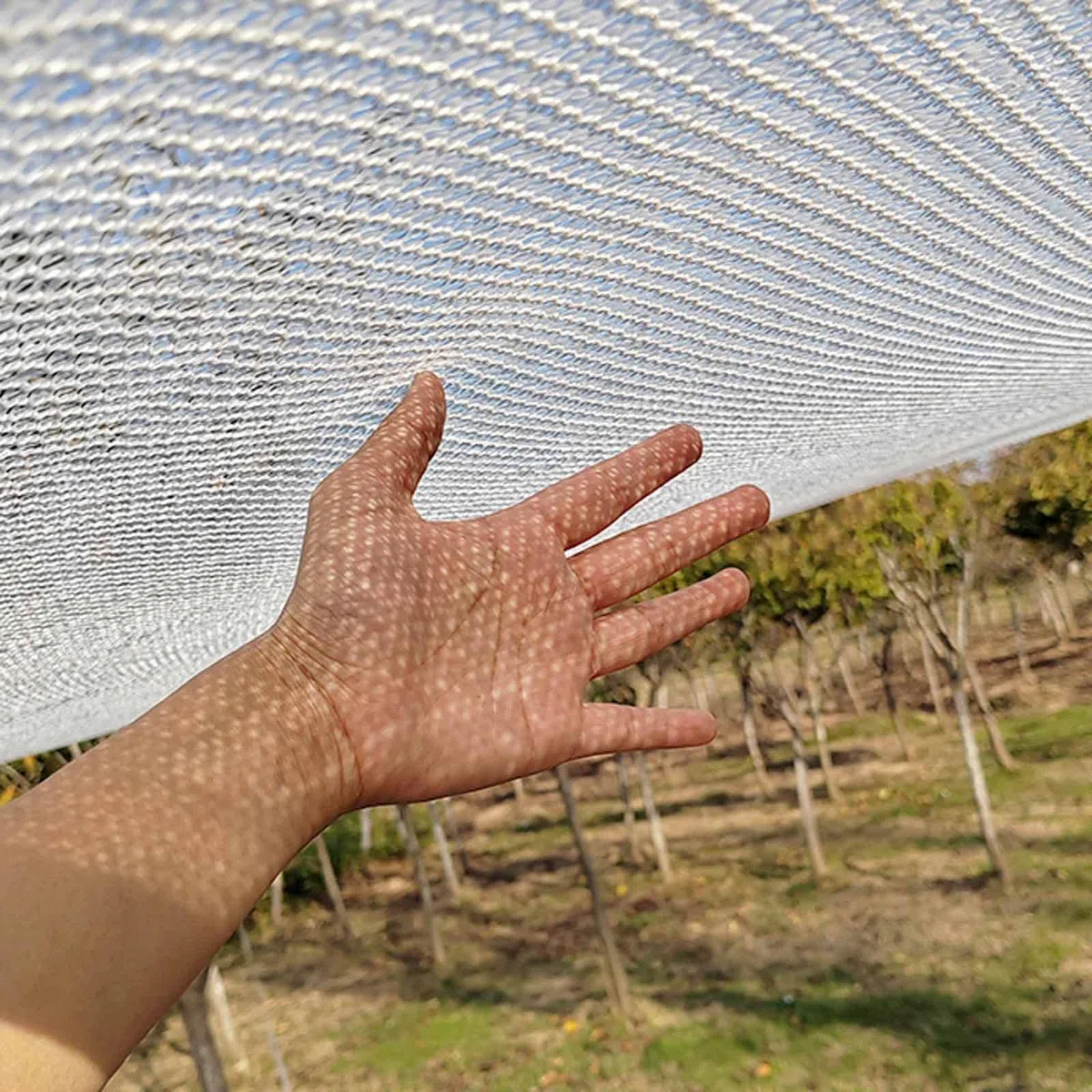 BOHHO 50% Sunblock Shade Cloth, Sun Screen Mesh Plants Greenhouse Cover Fabric,Sunshade Netting for Flowers Plants Patio Lawn Outdoor (Size : 2x6m/6.6x19.7ft)