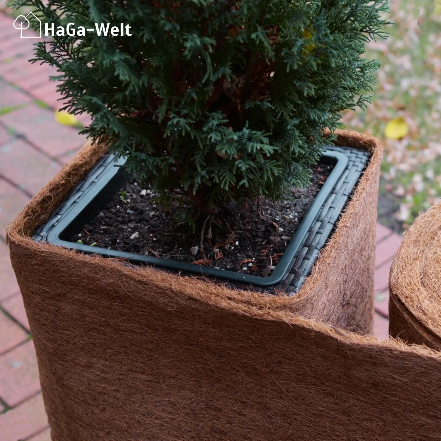 HaGa® Tappetino in cocco 1 m x 5 m con protezione invernale 800 g/m², spruzzato su un lato con lattice naturale, prodotto naturale 100% biodegradabile