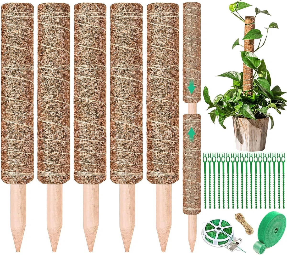 5 Pezzi Palo per Fibra di Cocco per Piante, Monstera Rampicanti Supporto estendibile fino a 160 cm, Bastone Muschiato, Ostegno Piante Rampicanti Cocco per Casa Giardino