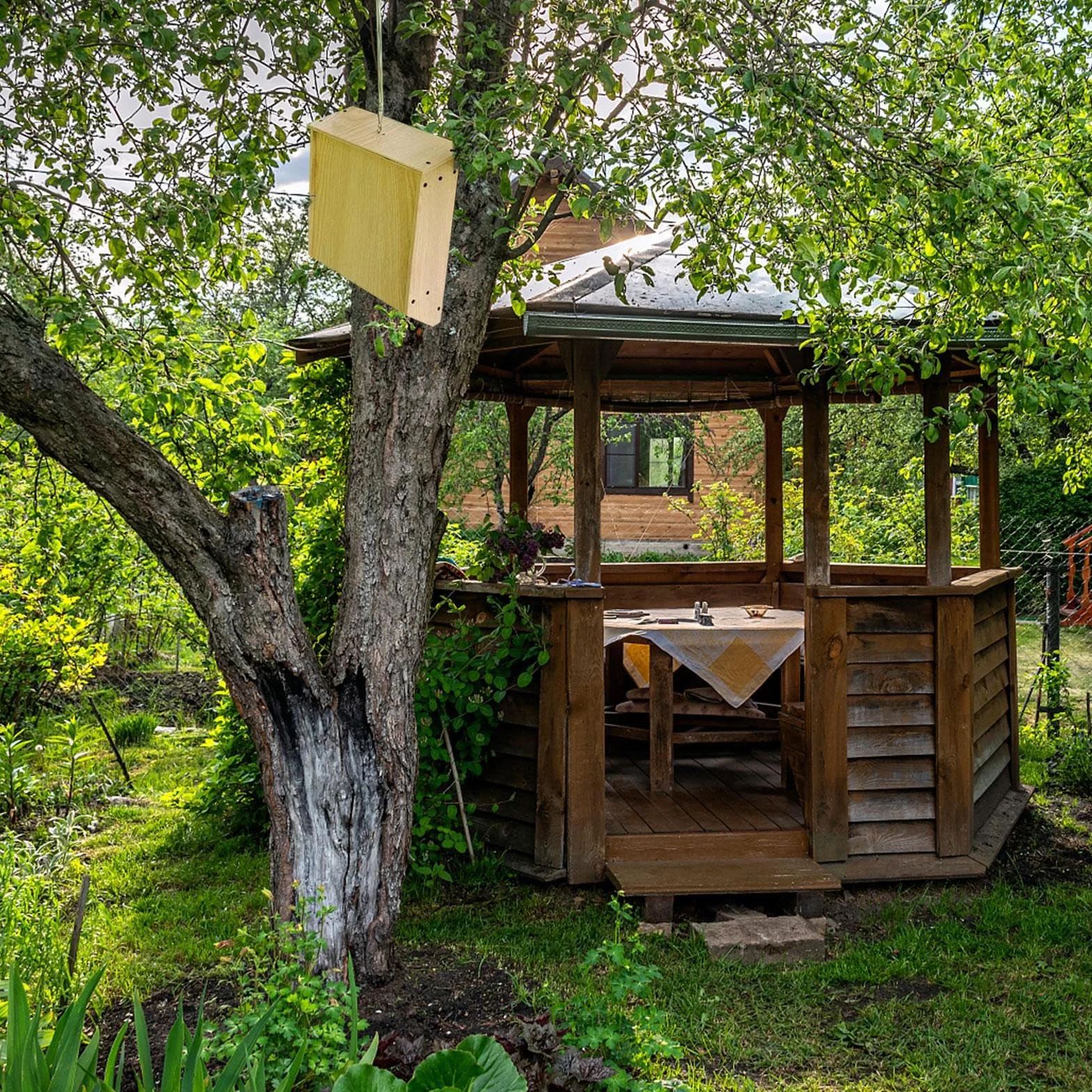 Bat House – Casette per pipistrelli da esterno | Casetta per pipistrelli per esterni | Grande scatola per pipistrelli pesante | Casetta per pipistrelli per giardino Regno Unito | Rifugio in legno