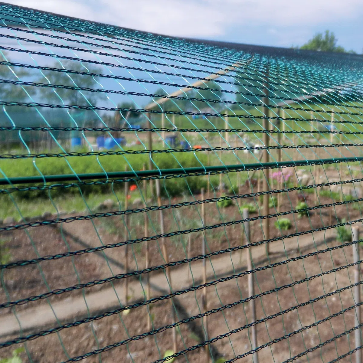 Tenax Rete Antigrandine Tessuta, Defender, 4,00 x 5 m, Verde
