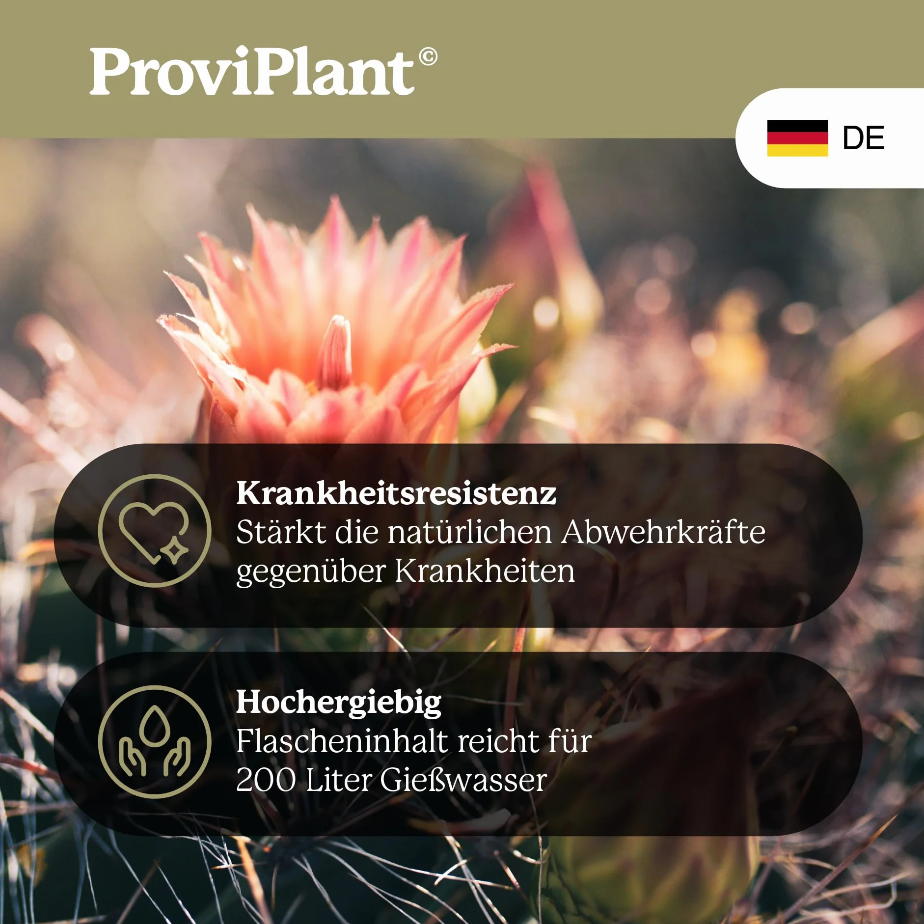 Fertilizzante per cactus – 1 litro di fertilizzante speciale per piante grasse e piante grasse per interni ed esterni, qualità professionale, ad alta efficienza – 200 litri di acqua – Made