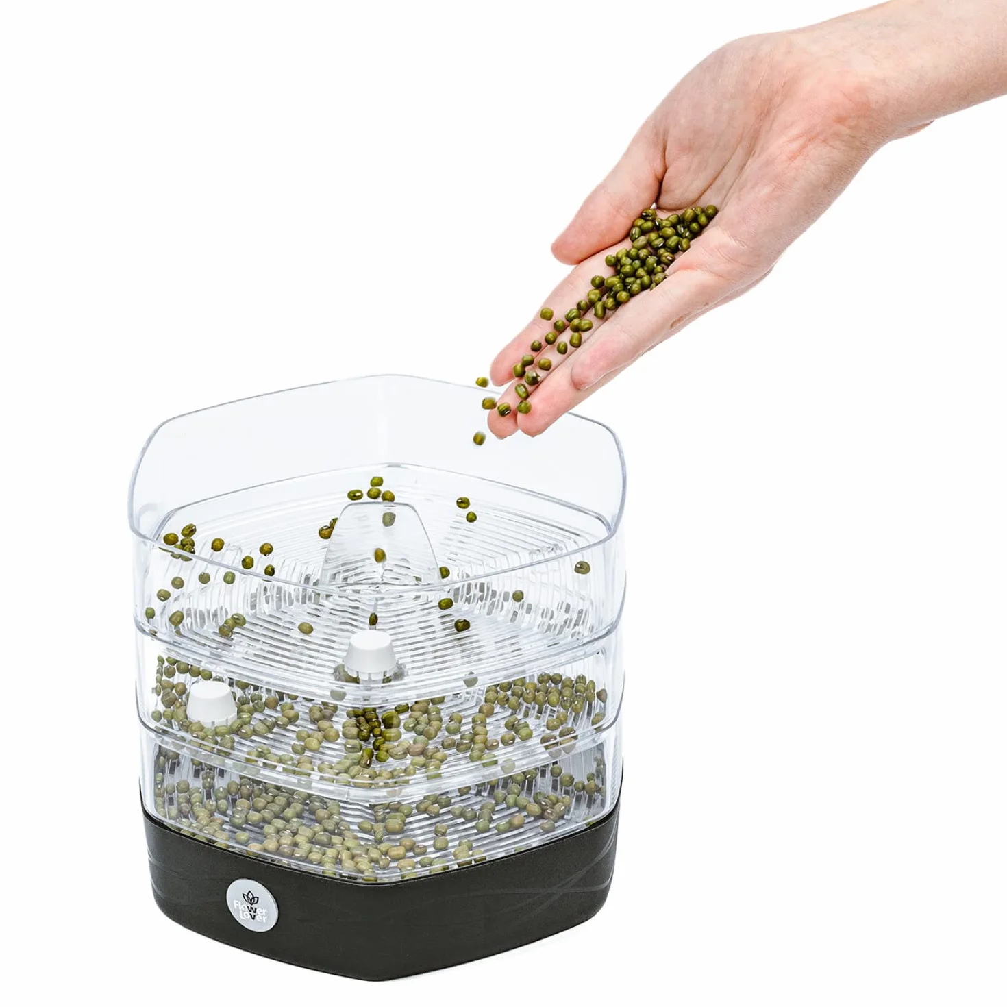 Germogliatore per Semi Alimentari con 3 livelli ø17 cm - Germinatore per Semi, Germogli, Microgreens - Germogliatore per Semi in Plastica, Antracite