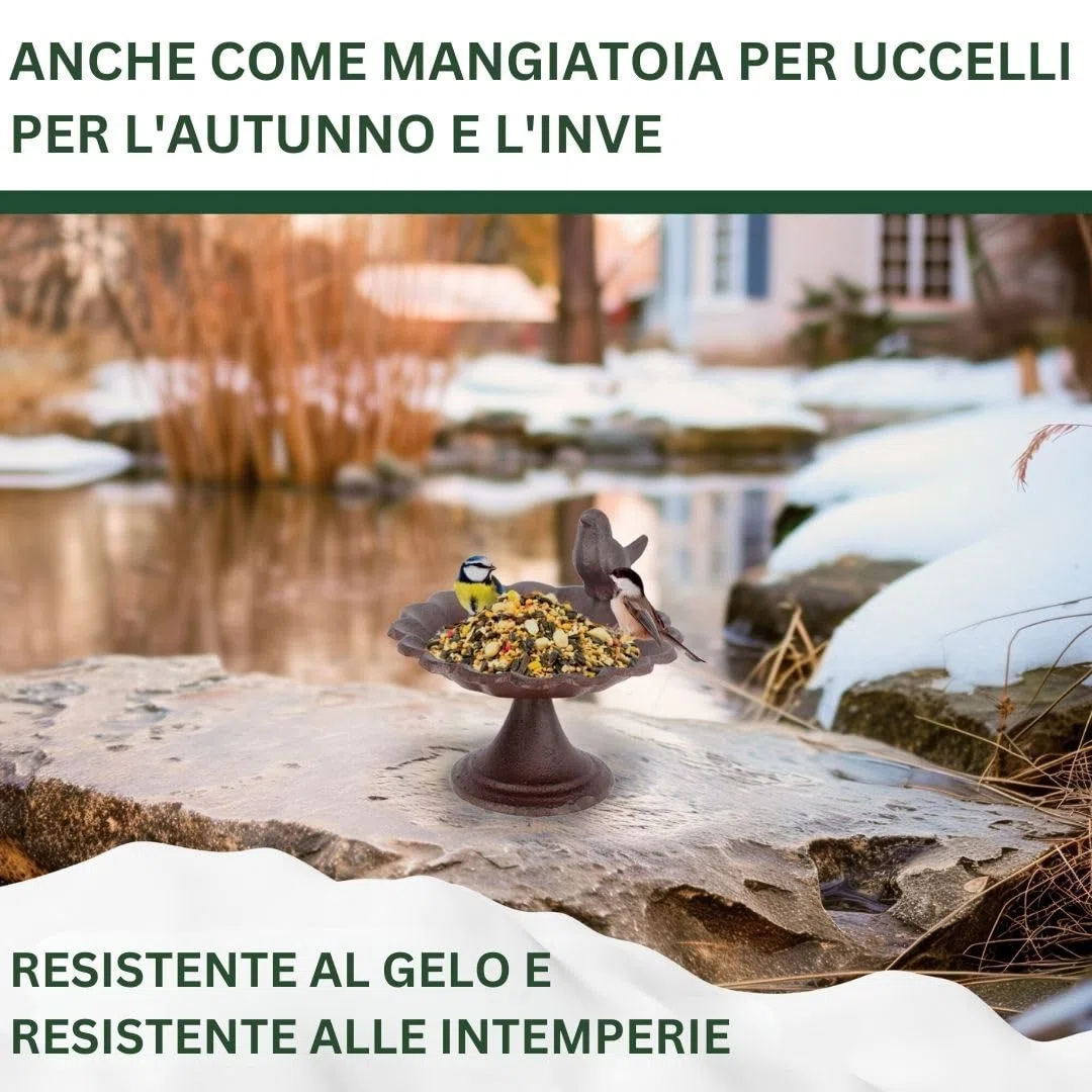 Abbeveratoio per uccelli per uccelli selvatici, punto d'acqua, resistente alle intemperie e al gelo (uccelli con piede)