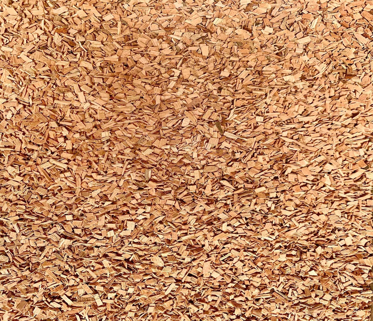 PINI 5 kg di trucioli per affumicatura faggio, 4-6 mm, trucioli per affumicatura, 18 litri