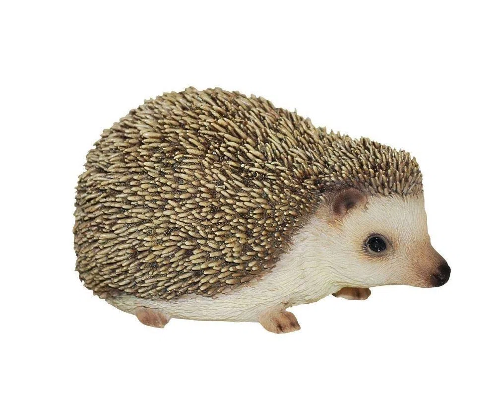 Vivid Arts Ltd Pet Pals - Statuetta in Resina a Forma di Riccio