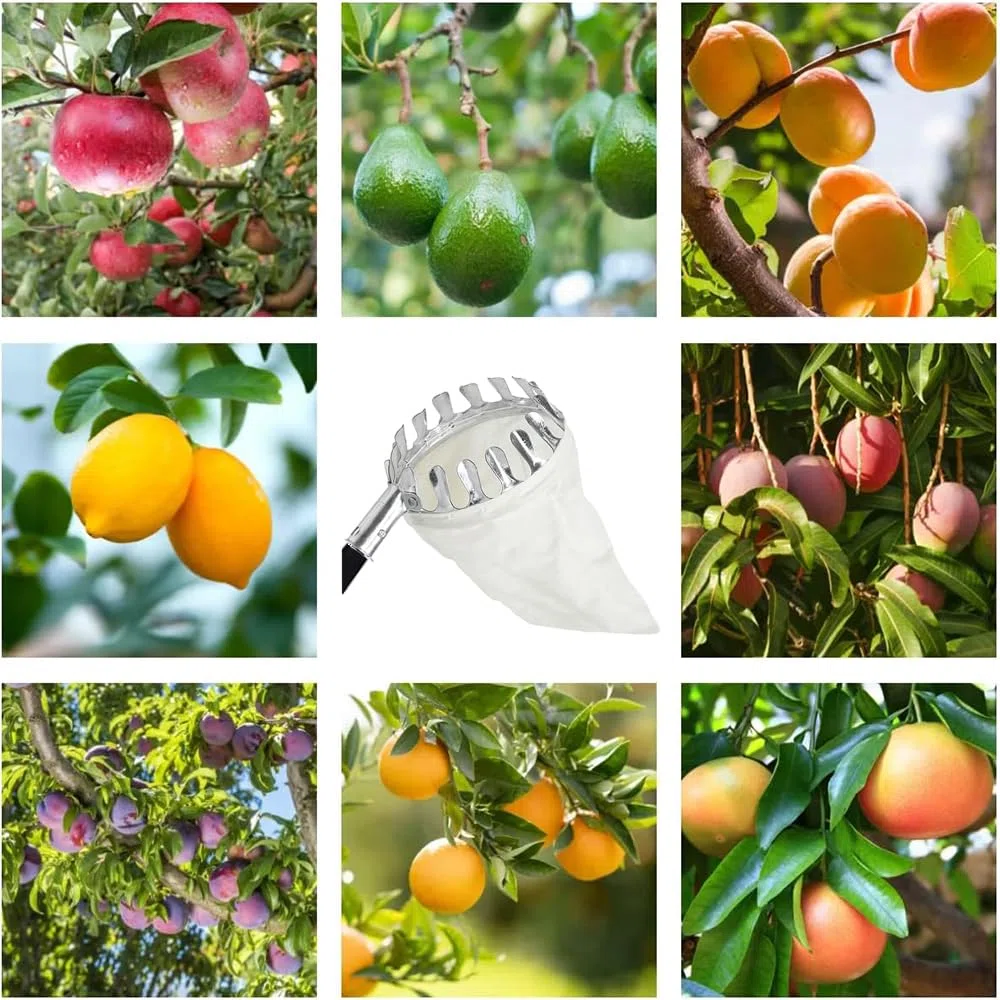HEYIDAMAI Raccogli Frutta con Palo in Acciaio Inox Leggero 4.2 M,Raccogli Fichi,Raccogli Fichi d'india,Attrezzo Raccogli Frutta,Raccoglifrutta Regolabile in Altezza,raccogli Mele