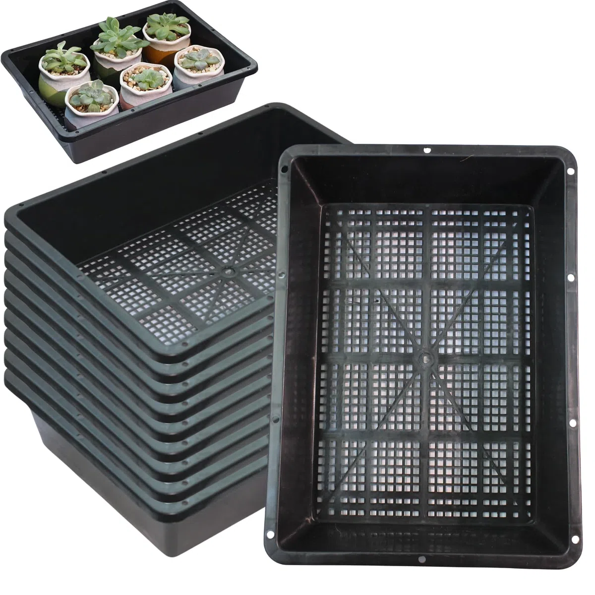 BeGrit 10 Pezzi Vassoi Semina Plastica 32 x 23 x 7.5 cm Germinazione Semina Vaschette Semenzaio vassoio per microgreens rettangolari semi in plastica per Serra Idroponica Giardino Verdura Frutta Seme