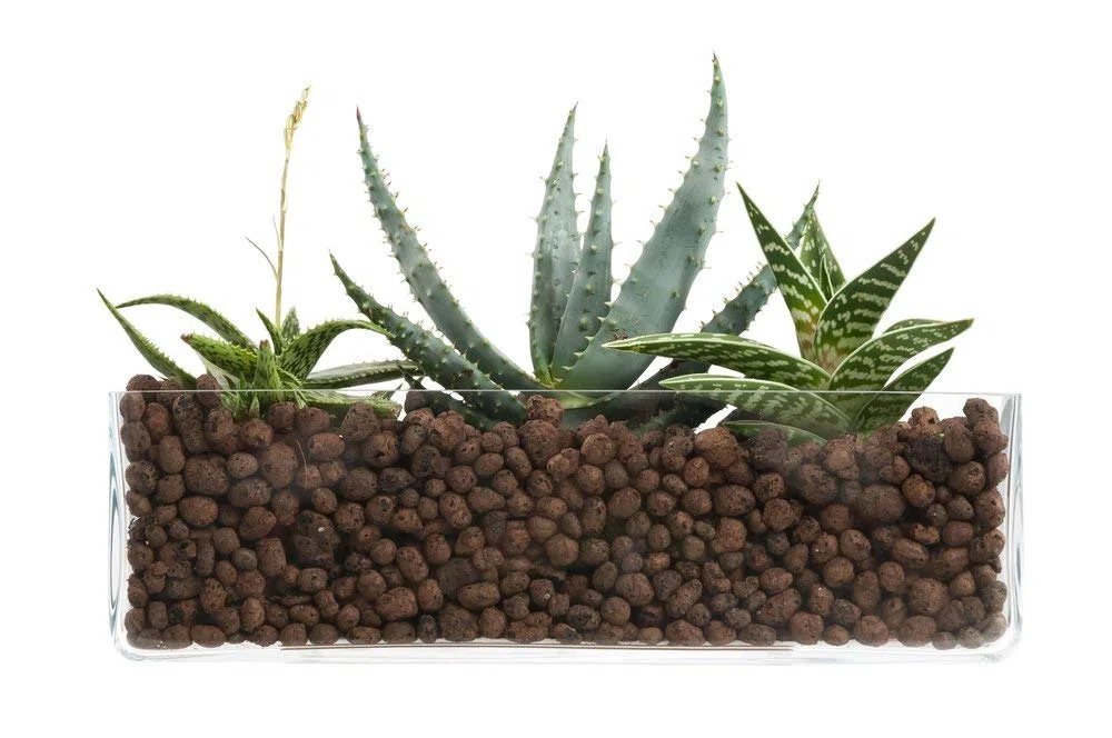 ARGILLA ESPANSA DA 10 LT PER PIANTE DRENAGGIO ACQUA GIARDINAGGIO ISOLAMENTO GRANULI DI ARGILLA (2)