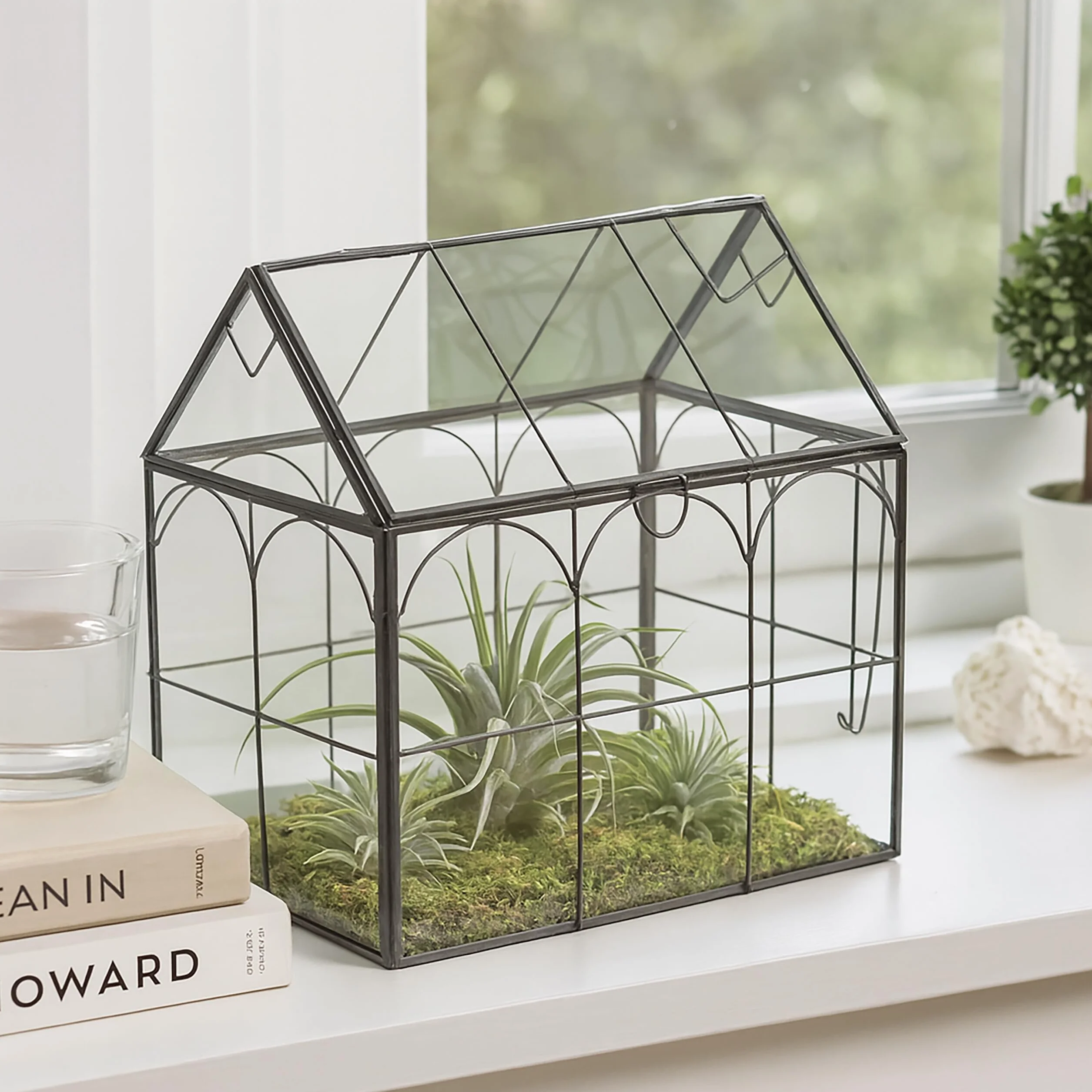 Relaxdays Terrario Piante, Mini Serra in Vetro e Zinco, Teca per Piantine Grasse e Muschi, Vaso Ecosistema Chiuso, Nero