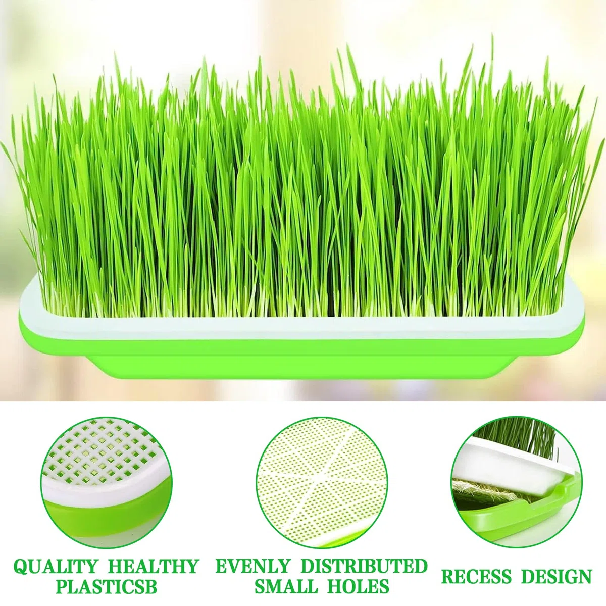5 Pezzi Vassoi per la Germinazione Dei Semi Germogliatore Per Semi Vassoi per Semi 34X25cm Vassoio di Germinazione di Grande Capacità Propagatore Idroponico Sano Senza BPA
