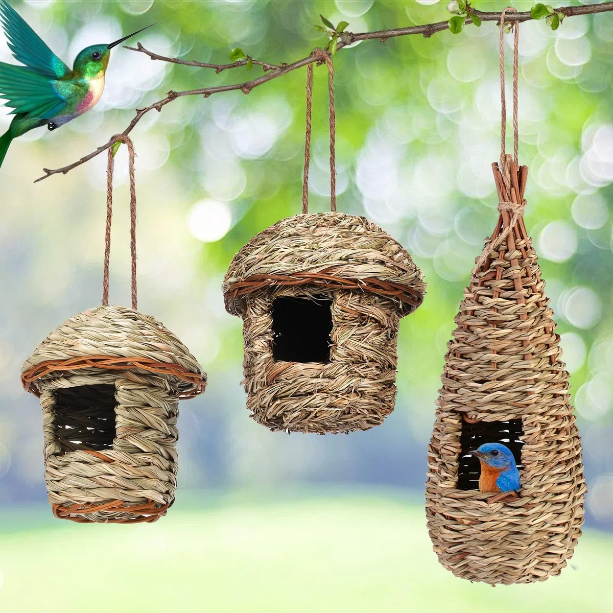 3 pezzi per casetta per uccelli, per appendere l'erba, per uccelli selvatici, per esterni, per nidificare gli uccelli, per piccoli come colibrì Robin passero