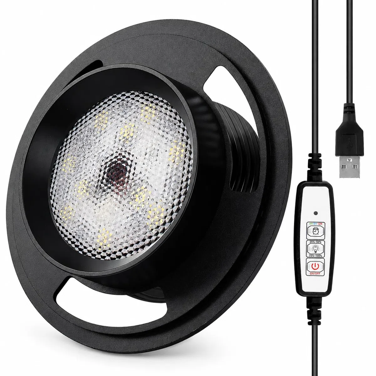 Coperchio Di Metallo Da 10 Cm Con Ventilazione Regolabile E Luce Led Intelligente Giardino Eterno In Vetro Ecosistema Di Terrario Per Piante, Ideale Per Casa, Ufficio O Regalo Di Evergreen Forest