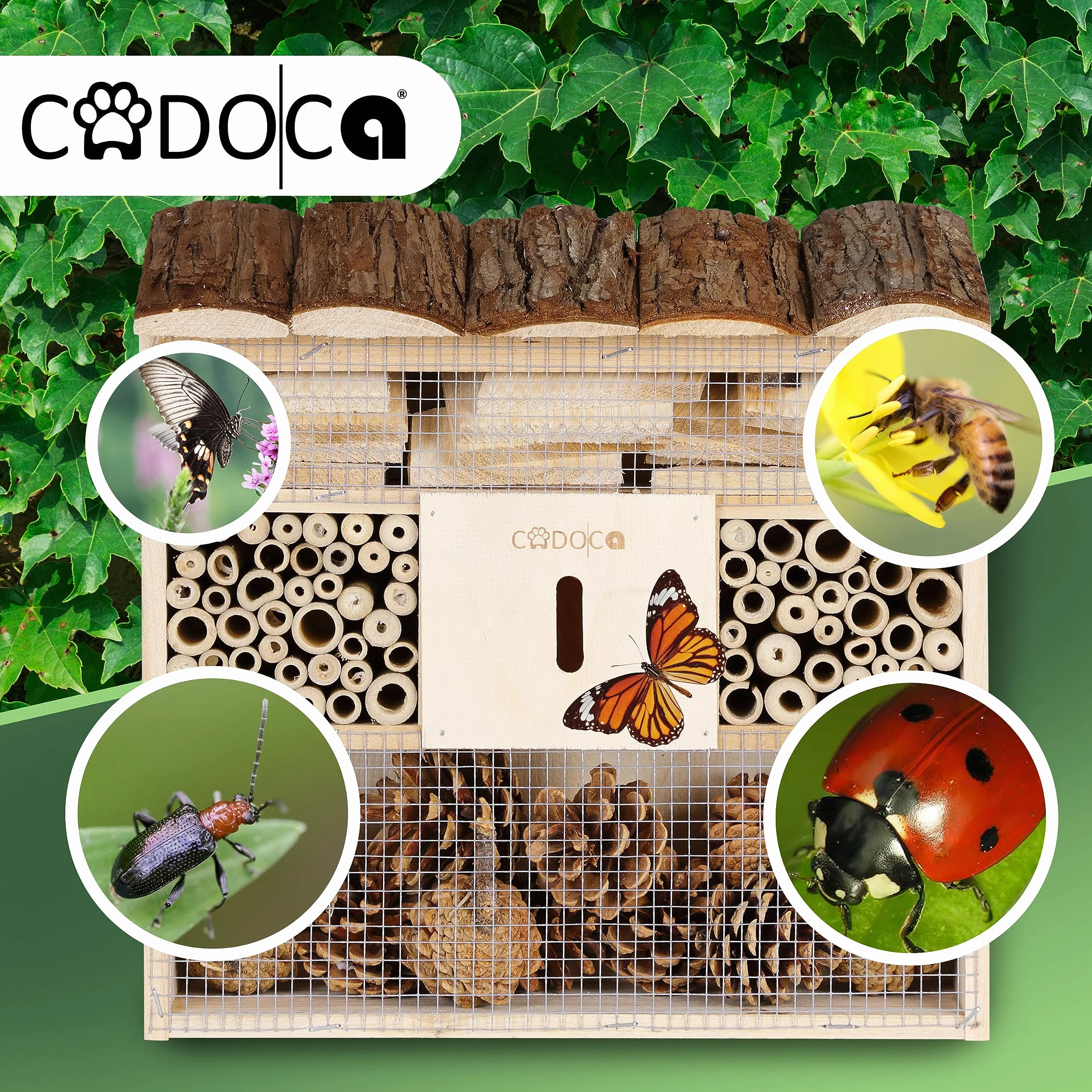 Cadoca Cassetta per insetti in legno 31x31 nidificazione hotel insetti refugio api coccinelle api vespe griglia metalica