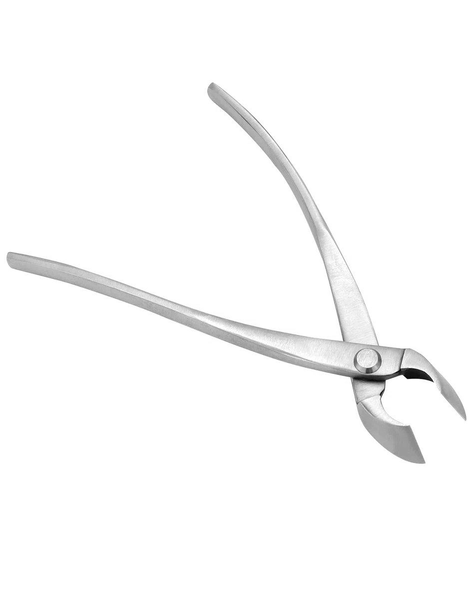 QWORK® Taglierina concava in Acciaio Inox - 21 cm - Strumento Bonsai per la potatura dei Rami dei Bonsai