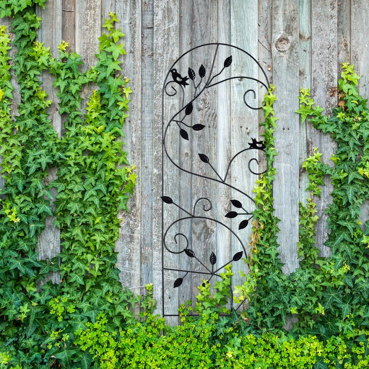 Relaxdays Grigliato da Giardino con Uccellini, in Metallo, per Piante Rampicanti, 120x40 cm, Colore Bianco