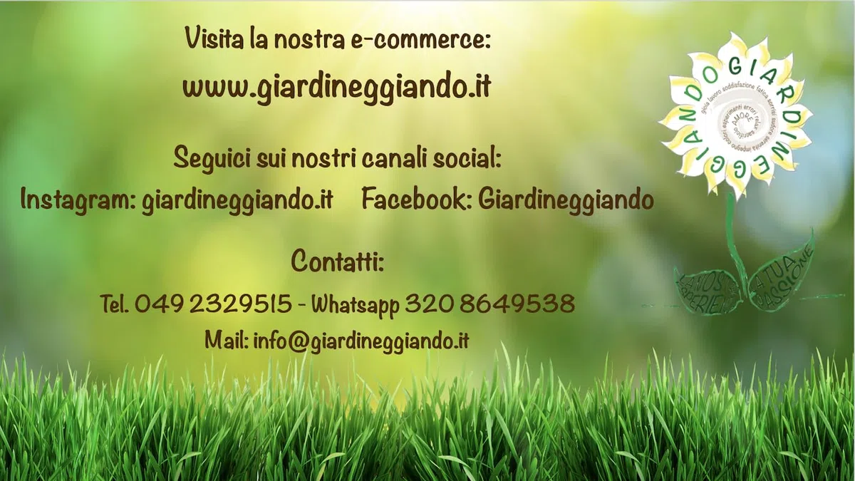 Fontana da giardino in corten misure cm 10x20 H100 (Senza base)