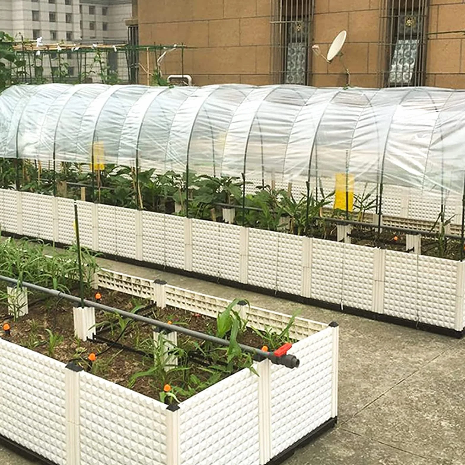 PALUDO 2 x 6M Telo di Ricambio in Polietilene Trasparente per Serre, Foglio di Ricambio in PVC per Serra Extra Spesso, Copertura Serra per Protezione delle Piante da Giardino (250Mu / 1000G)