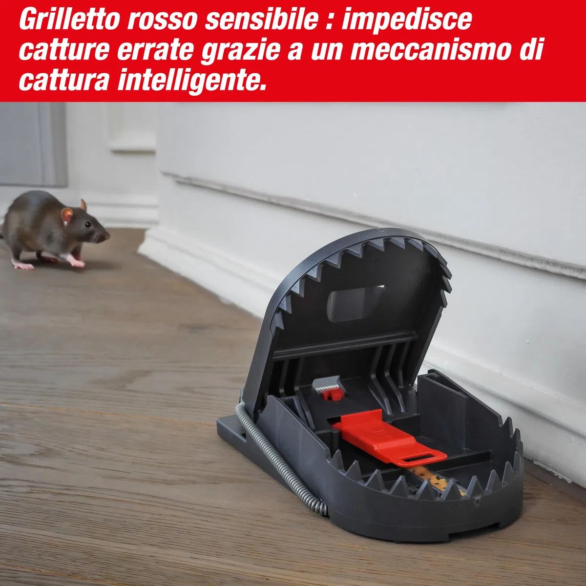 SWISSINNO Trappola per Ratti PRO SuperCat – Trappola Riutilizzabile e Affidabile – Eliminazione Rapida e Precisa – Con Esca al Burro di Arachidi - 2 Trappole