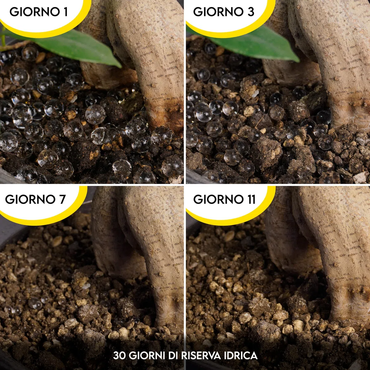 ZOMA - Palline Gel per Piante Pronte all'Uso 100% Naturali, Sfere gel per piante garantiscono fino a 30 giorni di Idratazione Costante, Acqua Complessata per vasi Palline Decorative e Funzionali 1L