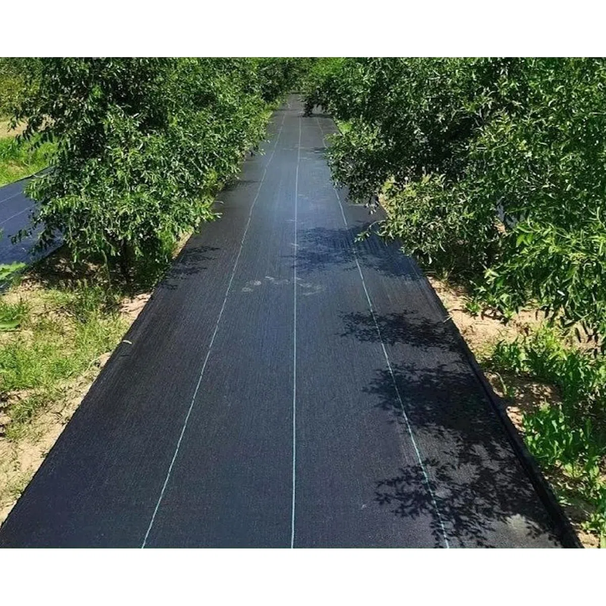 4m x 5m Telo Pacciamatura Non Tessuto 90 g/m² Anti Erbacce per Giardino & Orto Permeabile all'Acqua Protezione Contro Resistente agli Strappi Alta Stabilizzazione UV (4m x 5m = 20m²)