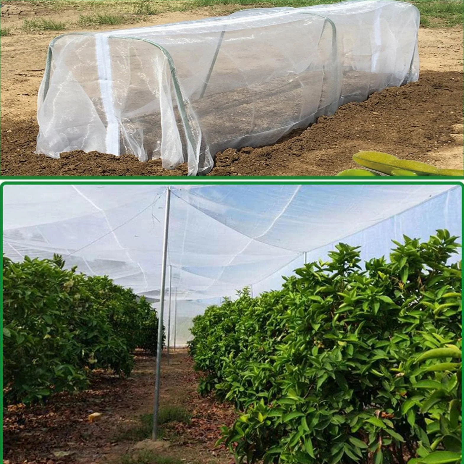 Rete Zanzariera di Insetti,Rete Anti Insetti,4x4m Rete di Protezione da Giardino a Maglia Fine,Reti Protettive Serra,Rete di Insetti per Verdure Rete Anti Uccelli per Pianta,Orto,Frutteto,Bianco