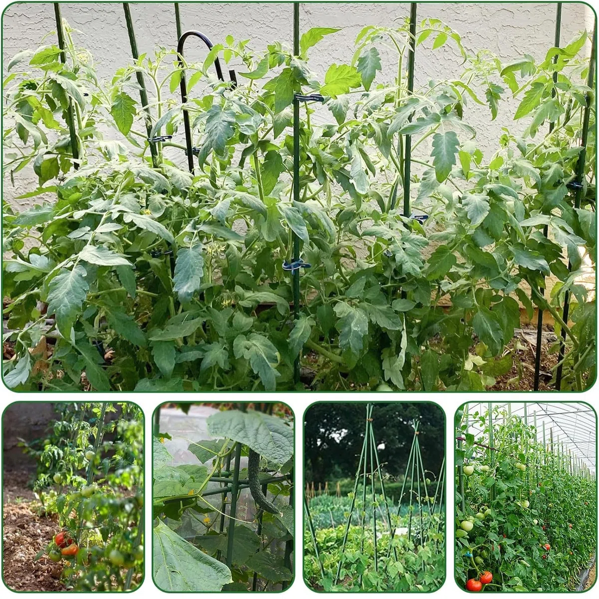 Bastoncini Supporto Piante Rampicanti Set 25 Cannette Acciaio Plastificato Bastone 1,6 Ø x 180 cm Tutore Verde Giardino Orto Pomodori Melenzane