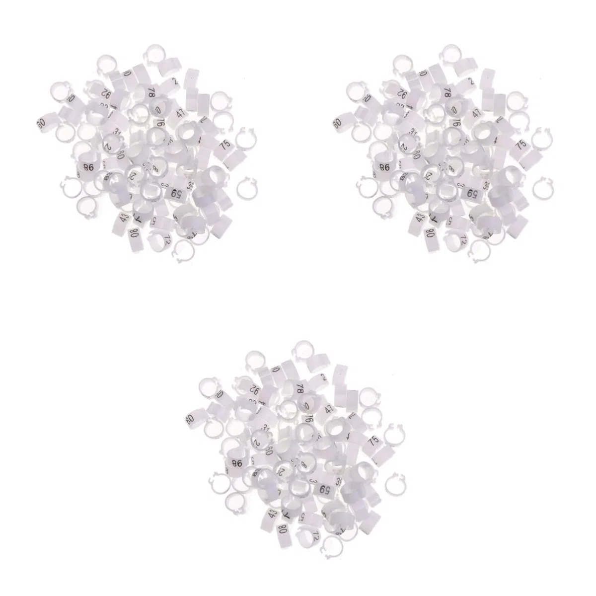 300 Anelli a Clip for Zampe di Uccelli for piccioni, pappagalli e Pulcini - Anelli di identificazione Colorati(3 Packs)