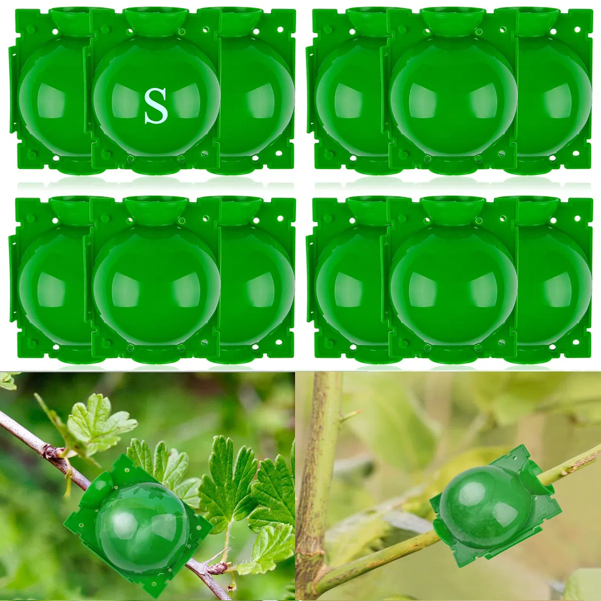 Kalolary Scatola Coltivazione Radici Piante 12 Pezzi Dispositivo Radicazione Piante Scatola Radicatori Sfera Propagazione ad Alta Pressione Innesto Radice Botanica Controller Piante(Piccolo)