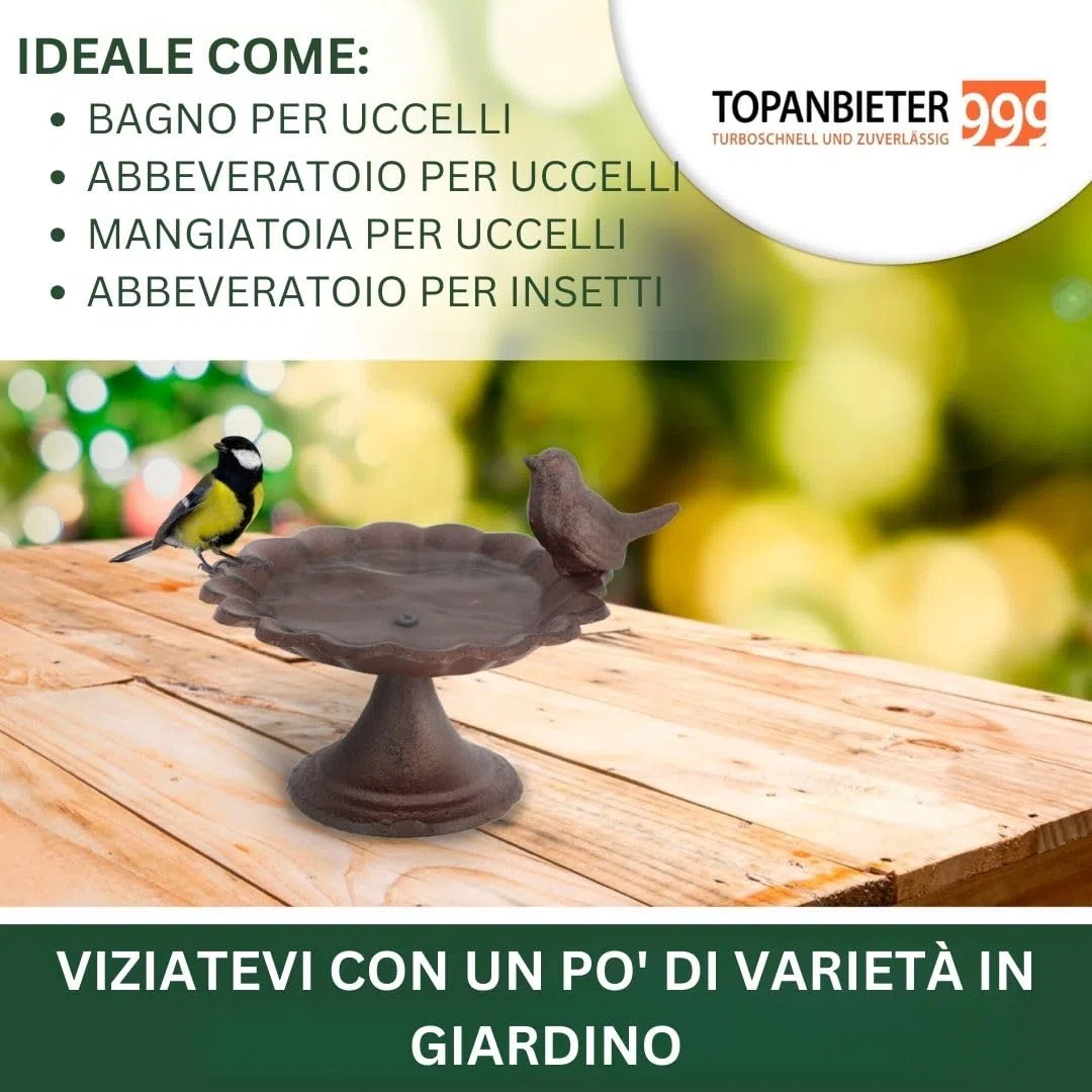 Abbeveratoio per uccelli per uccelli selvatici, punto d'acqua, resistente alle intemperie e al gelo (uccelli con piede)