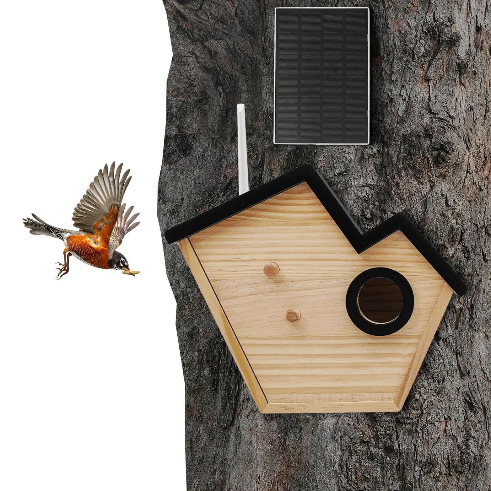 Casetta per uccelli con telecamera e pannello solare, nidificatore con rilevamento di uccelli KI, IP65 resistente alle intemperie, batteria da 4400 mAh, per giardino e balcone